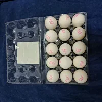جای تخم مرغ محکم