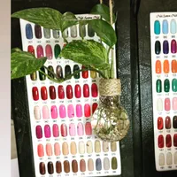 گلدون لامپ|صنایع دستی و سایر لوازم تزئینی|رشت, ساغری سازان|دیوار