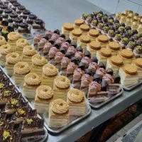 خشک کار برای کارگاه قنادی