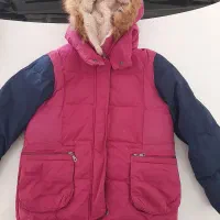 کاپشن|لباس|ساری, |دیوار