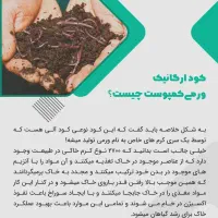 سبد کرم و بستر ورمی جهت بازیافت زباله|لوازم جانبی حیوانات|تهران, بلوار کشاورز|دیوار
