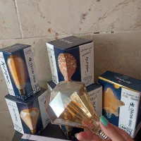 انواع لامپ فیلامنتی ادیسونی|ریسه و چراغ تزئینی|کرمان, |دیوار