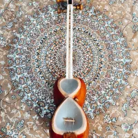 تار شش تار کاملا سالم دسته استخوان پوست تودلی بره