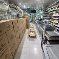 فنچ،مرغ عشق،نرگسی،برزیلی،گرین