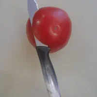 چاقو اره ای میوه خوری|ظروف سرو و پذیرایی|تهران, شهرک ولیعصر جنوبی|دیوار