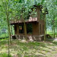 بکرترین پروژه دنیا اینجاست|فروش خانه و ویلا|آسارا, |دیوار