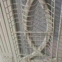 آبچکان ۸۰سانتی به فروش می‌رسد