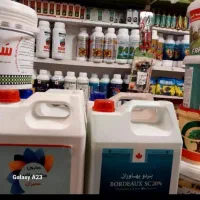 سم پاشی سوسک ساس مورچه ،|خدمات نظافت|تهران, ازگل|دیوار