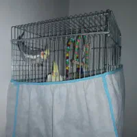 دو عدد عروس هلندی نر دستی  همراه با قفس