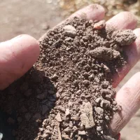 زمین کشاورزی روستای تازه اباد سریاس