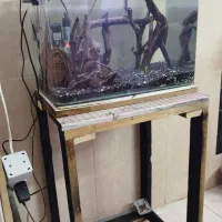 آکواریوم با پایه فروشی یا معاوضه|ماهی|اسلامآباد غرب, |دیوار