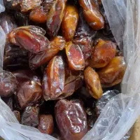 خرما کبکاب بوشهر شش عددی|عمده‌فروشی|مشهد, ولیعصر (شهرک غرب)|دیوار