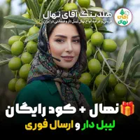 فروش تعدادمحدودنهال زیتون کنسروالیامخصوص روغن گیری