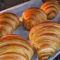 نیازمندشاطرنان فانتزی