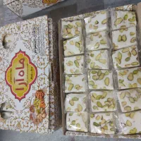 نوقا باسلوق