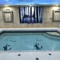 ویلا شاندیز