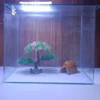 آکواریوم شیشه خم با تمام وسایل