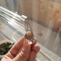 باباقوری کلکسیونی