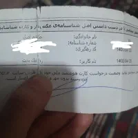 مدارک گمشده به نام رویا حکمتی