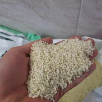 خورده برنج لنجان