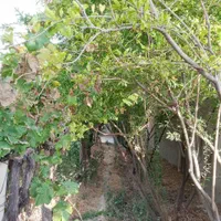 باغ500متر-سنددار-چهاردیواری-اب-برق-گاز