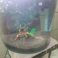 شیشه آکواریوم