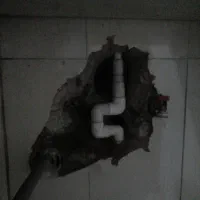 نوخاله حدود 80کیسه بفروش میرسد