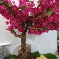 درختچه کاغذی مصنوعی