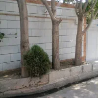 فروش منزل ویلایی 90 متری. دونبش بلوارکشمیری|فروش خانه و ویلا|مشهد, سیس‌آباد|دیوار