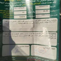 پژو 94 slx|خودرو سواری و وانت|فولادشهر, مسکن مهر فولادشهر|دیوار