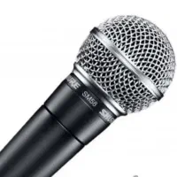 مداح و خواننده مراسم عزاداری خاکسپاری چهلم سالگرد