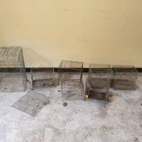 قفس پرنده