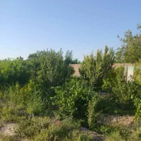 باغچه-220-متری