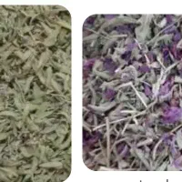 گیاهان دارویی ارگانیک محلی به صورت کلی و جزیی|آرایشی، بهداشتی، درمانی|اسدآباد, |دیوار