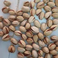 پسته فندقی اجیلی