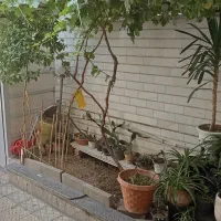 خانه اجاره ای