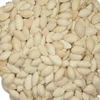 تخم کدو بوجاری شده 1 تن