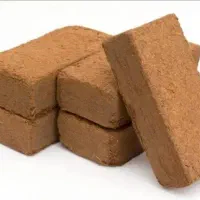 کوکوپیت سریلانکا