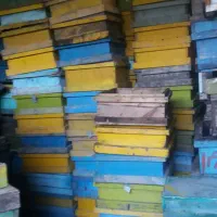 فروش نیم طبق مربع