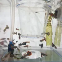 ماهی گوپی نر