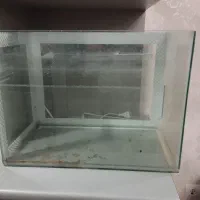 اکواریوم به طول 50 و عرض 30|ماهی|شاهینشهر, مسکن مهر|دیوار