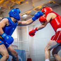 آموزش ووشو|خدمات آموزشی|قزوین, |دیوار