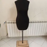 مانکن سوزن خور و اطوخور
