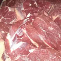 سردست و ران گوساله تازه گرم