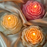 آموزش شمع سازی|خدمات آموزشی|شیراز, آبیاری|دیوار