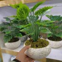گل برگ انجیری مصنوعی+گلدون سنگی