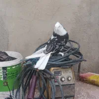 کفتر