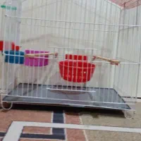 قفس پرنده