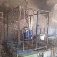 کوله گنجه قفس خروس لاری