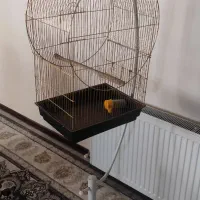 قفس پرنده